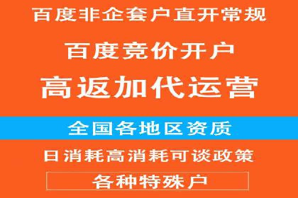 竞价托管实战案例：优化广告投放策略